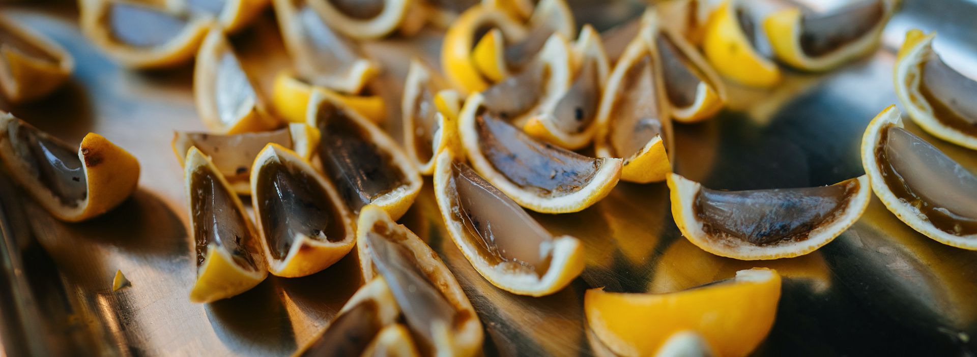 Der Bio Zitrusgarten